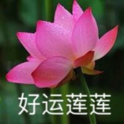超级精灵变态版下载